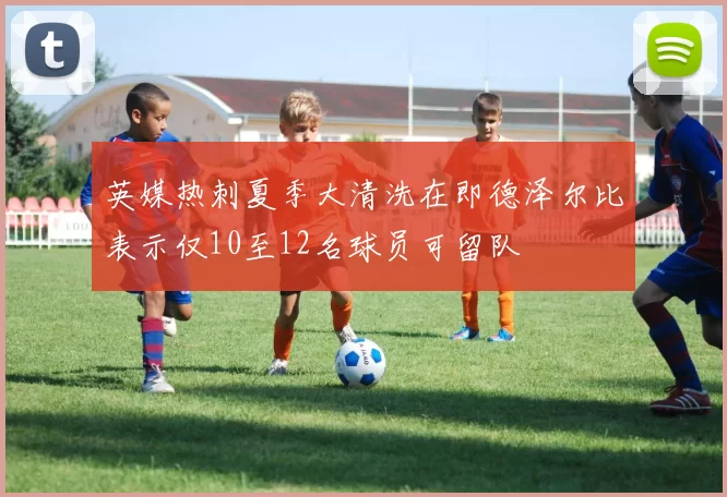 英媒热刺夏季大清洗在即德泽尔比表示仅10至12名球员可留队